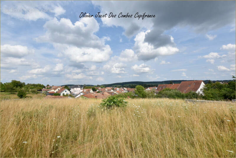 Terrain à CHATENOIS-LES-FORGES