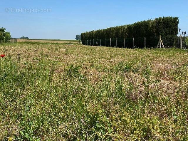 Terrain à RESSONS-SUR-MATZ