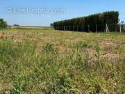 Terrain à RESSONS-SUR-MATZ