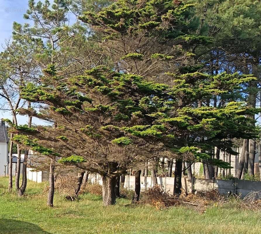 Photo 6 - Maison à PENESTIN