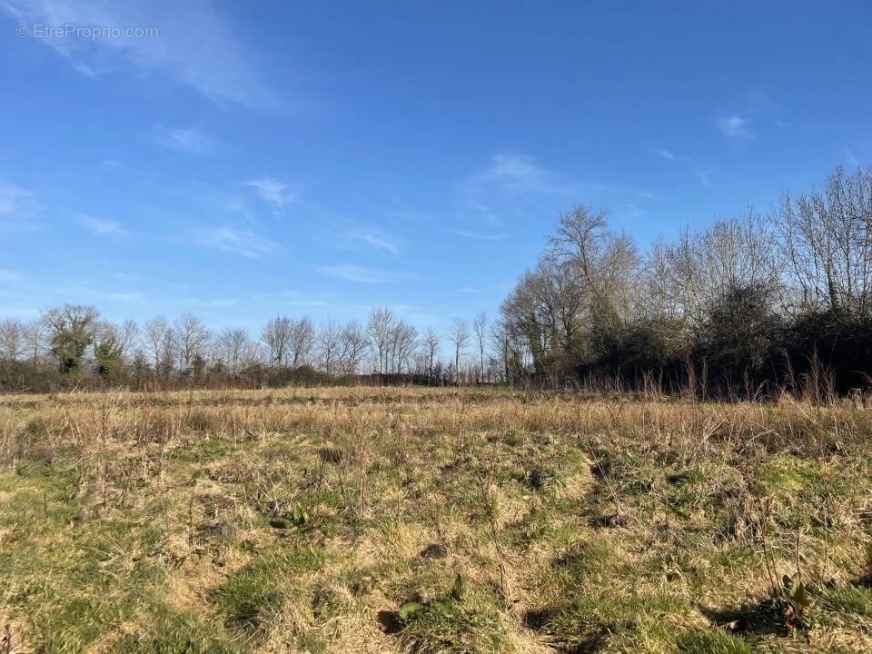 Terrain à GENNEVILLE