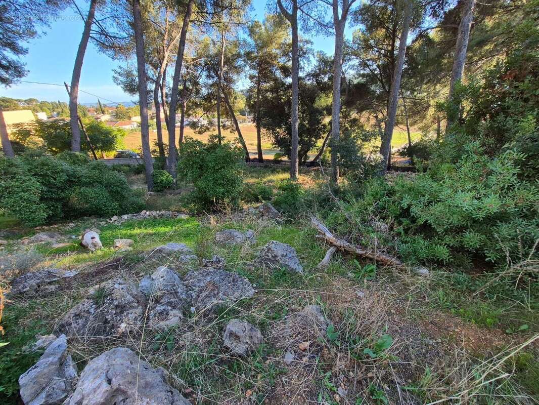 Maison à CARQUEIRANNE