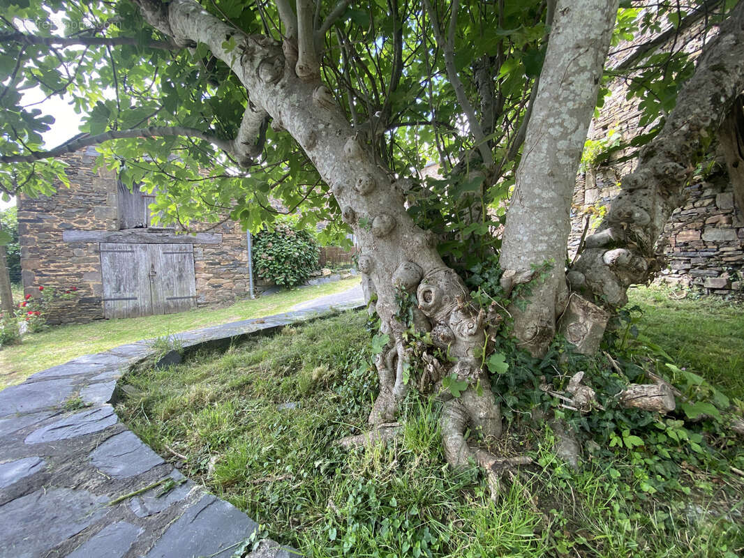 Maison à SAINTE-FEREOLE