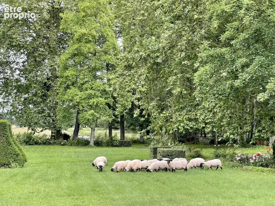 Château 18eme Domaine de 9ha - photo 22