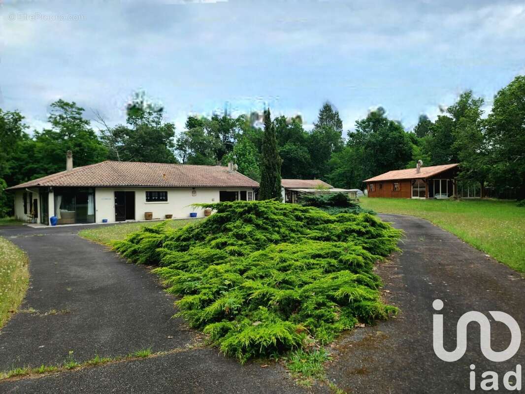 Photo 8 - Maison à SAUGNACQ-ET-MURET