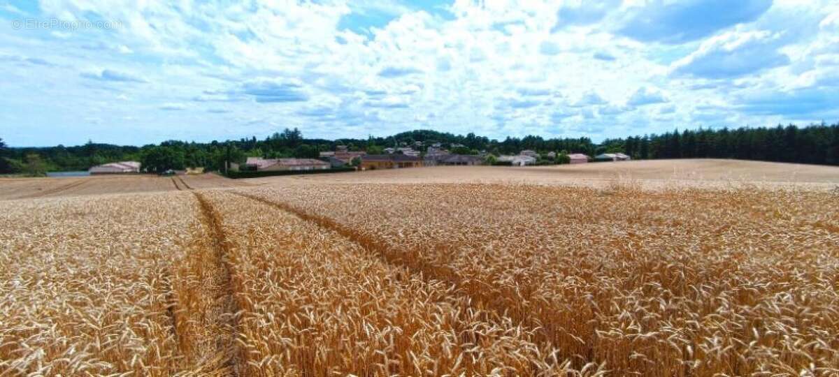 Photo 2 - Terrain à BON-ENCONTRE