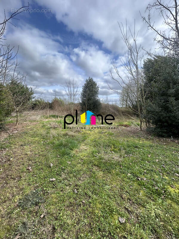 Terrain à RIENCOURT-LES-CAGNICOURT