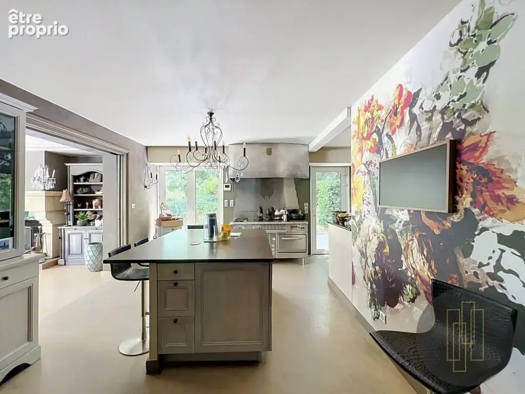 MORANCE DEMEURE 400m² sur un parc de 4453M² - - photo 10