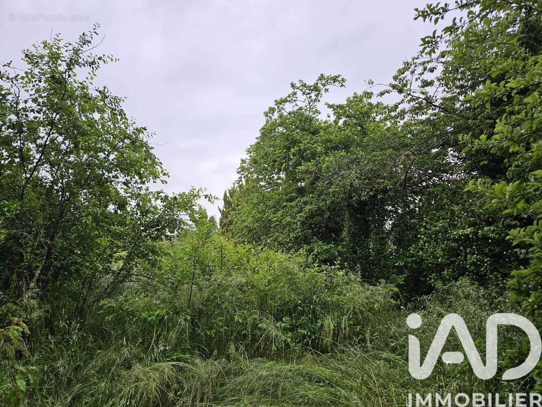 Photo 2 - Terrain à LONGCHAMP