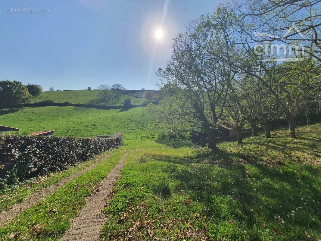 Terrain à MOUGUERRE