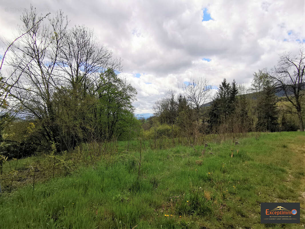 Terrain à BELMONT-LUTHEZIEU