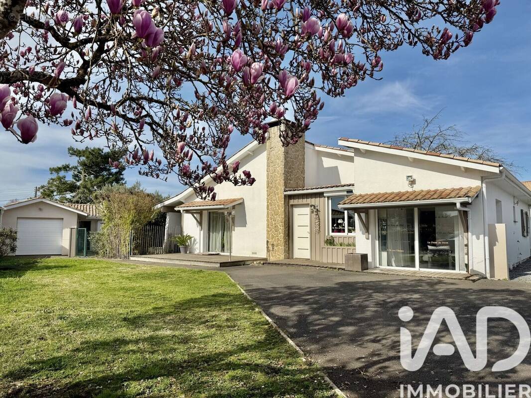 Photo 1 - Maison à BIGANOS