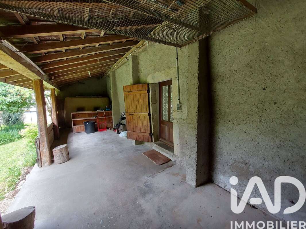 Photo 6
