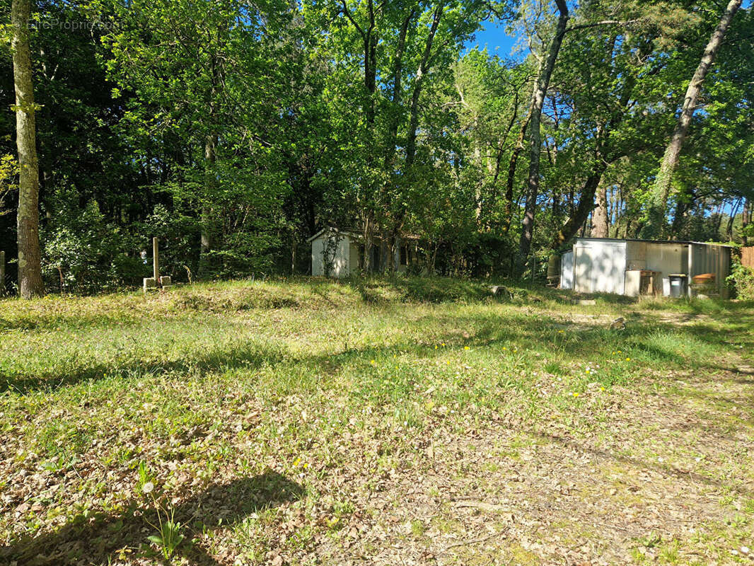 Terrain à SAINT-PALAIS-SUR-MER