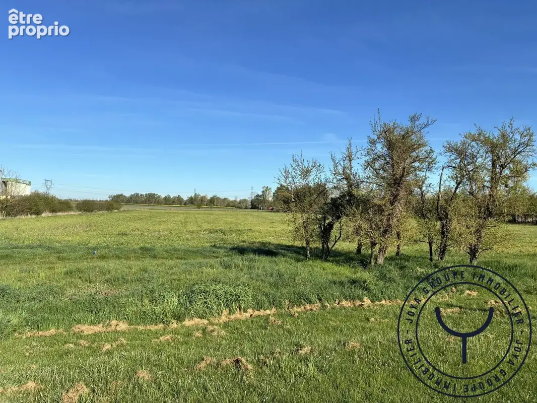 Terrain 29 992 m² à vendre à Mesgrigny (10170) - photo 3