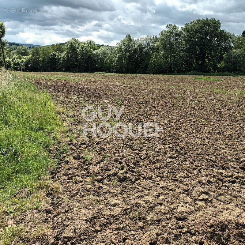 Terrain à SARE