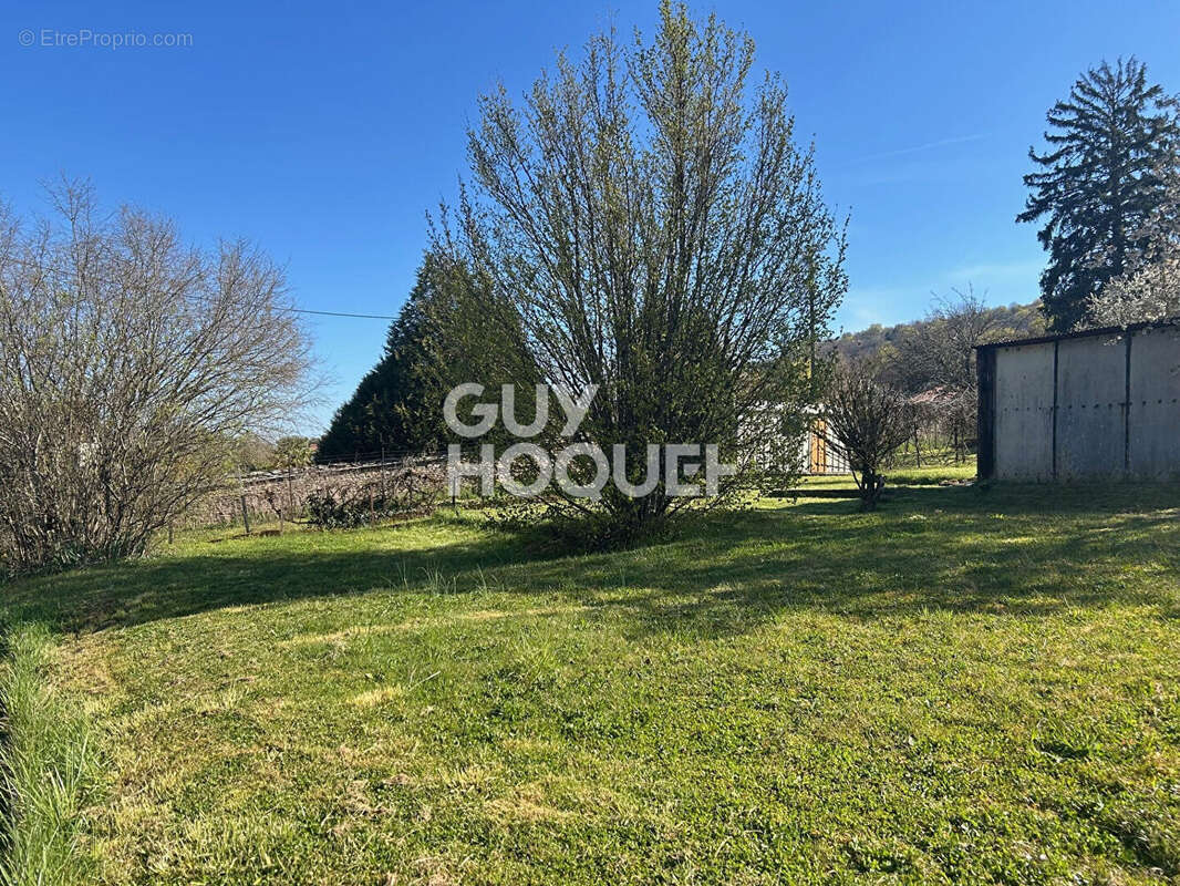 Terrain à ECHENOZ-LA-MELINE