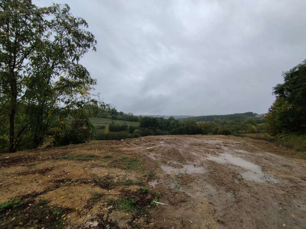 Terrain à MOLIERES