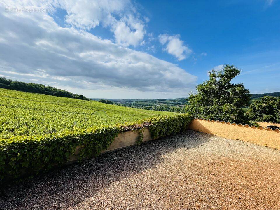 Maison à LA ROCHE-VINEUSE