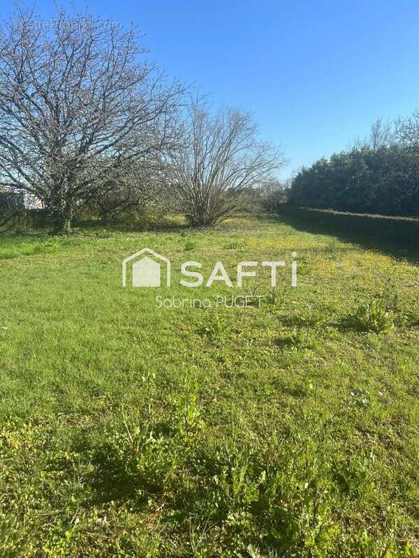 Photo 3 - Maison à CHANTONNAY