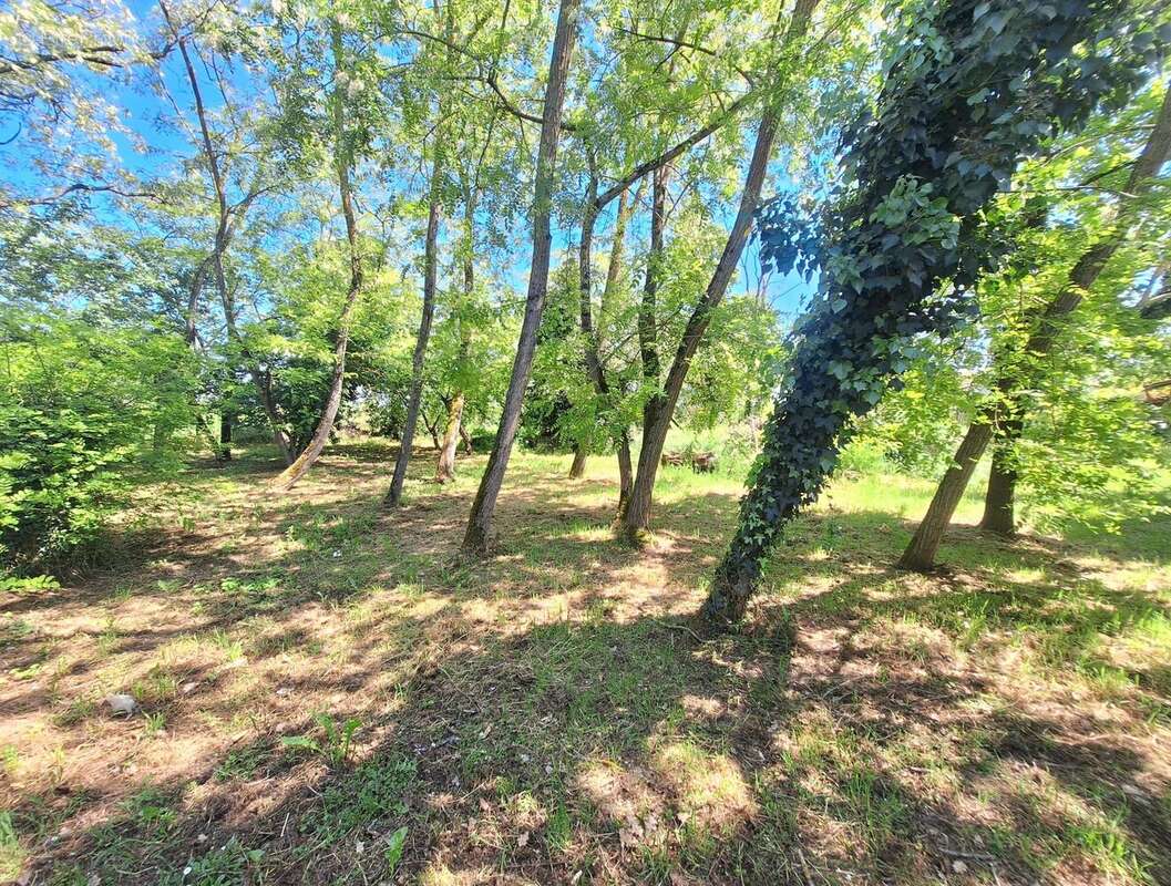 Terrain à VERDUN-SUR-GARONNE