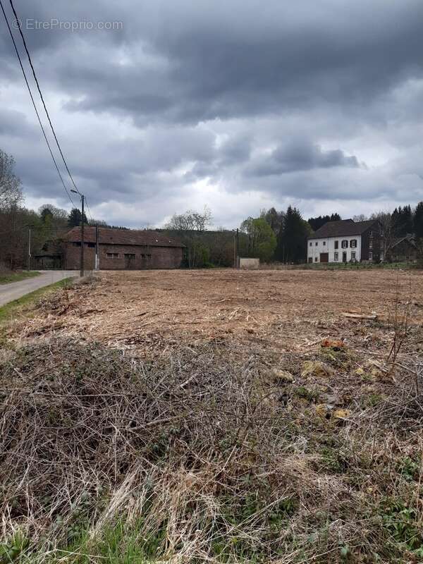 Terrain à LA PETITE-RAON