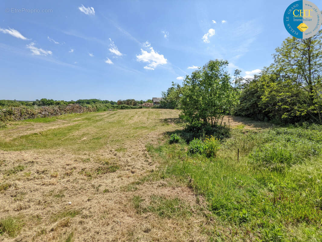 Un Manoir en Brocéliande à acheter avec CHT Immobilier - photo 49
