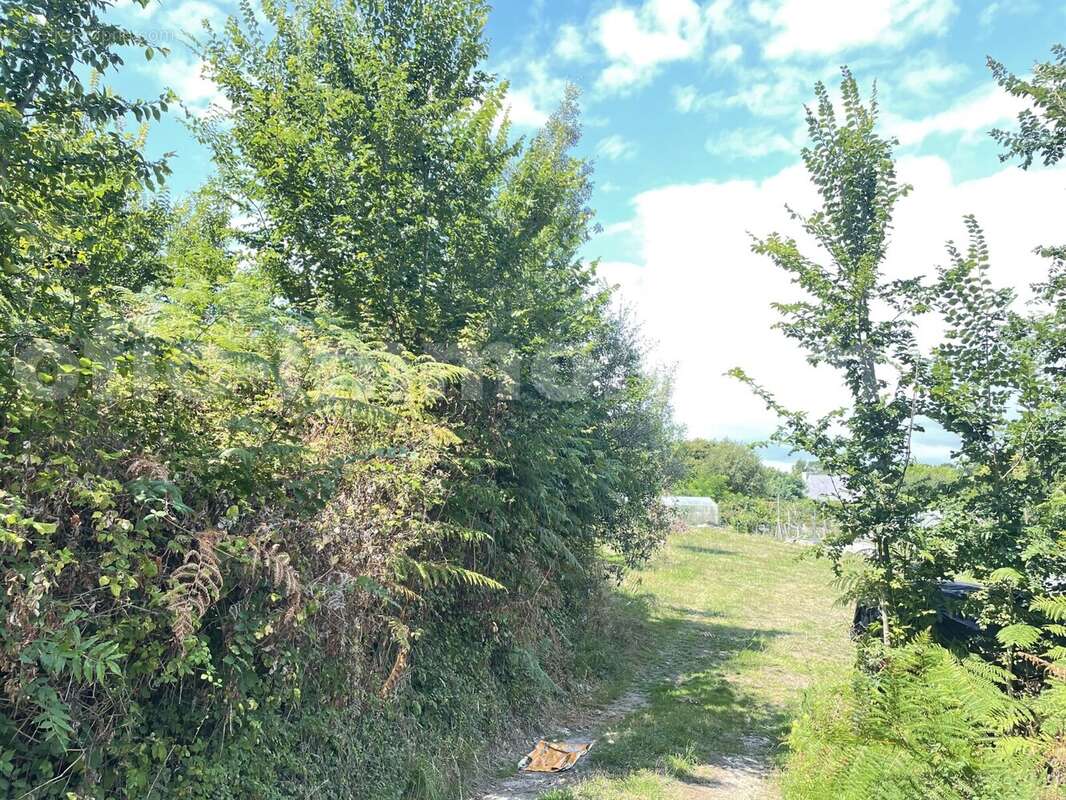 Terrain 835 m² à Saint-Gildas-De-Rhuys  - photo 2