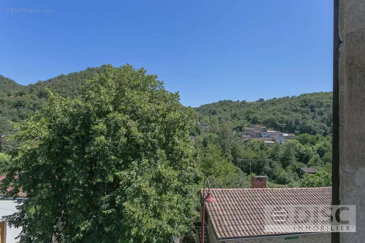 Maison de village avec Jardin (En Viager). - photo 10