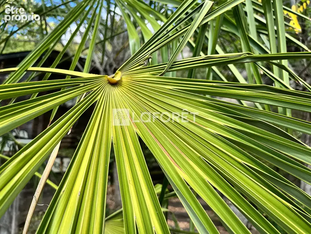 Salles-la-source - le petit paradis - photo 16