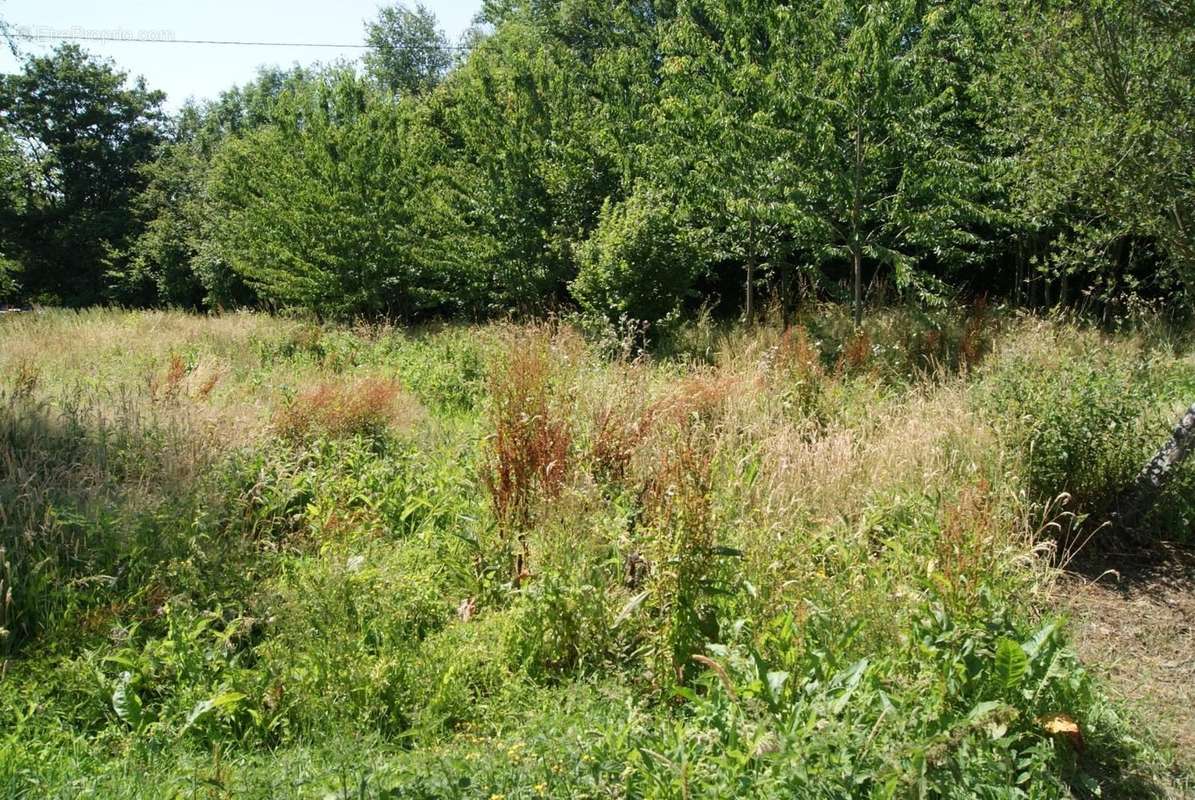 Terrain à SAINT-ANDRE-D&#039;HEBERTOT