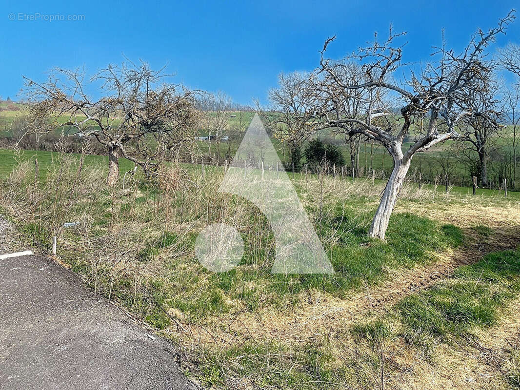 Terrain à VILLECHENEVE