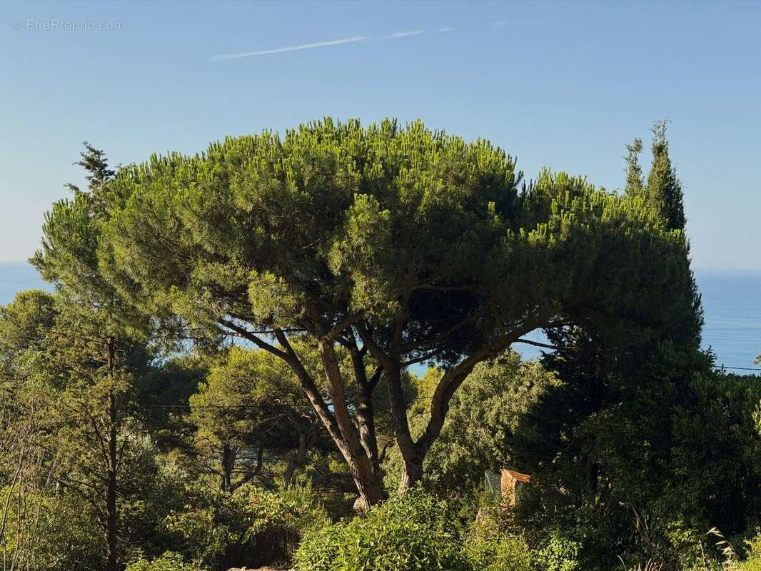 Terrain à SETE