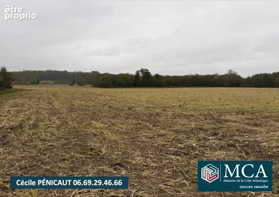 Terrain 839 m² à Mimbaste  - photo 1