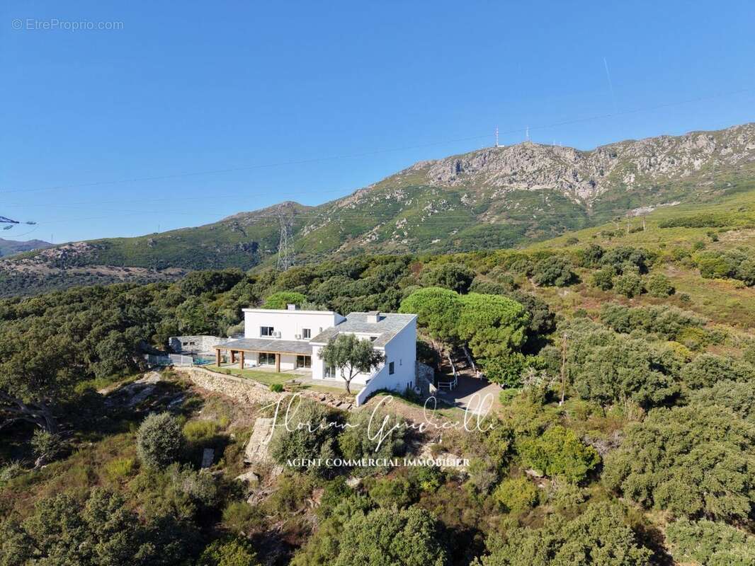 Maison à SAN-MARTINO-DI-LOTA