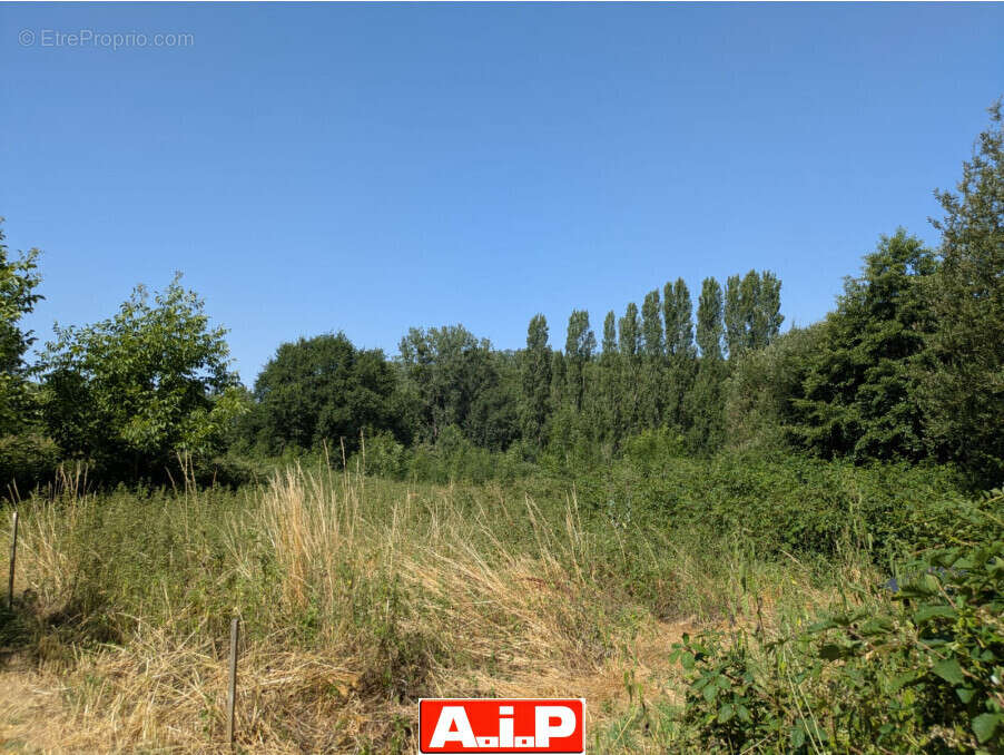 Terrain 61114 m² à Breuil-Barret  - photo 9