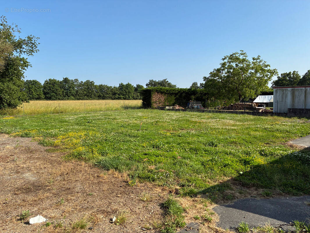 Terrain à SAINT-PHILBERT-DE-GRAND-LIEU