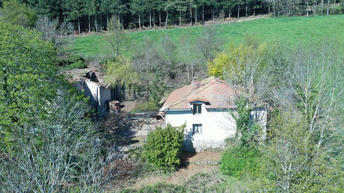 Maison à VIOLAY