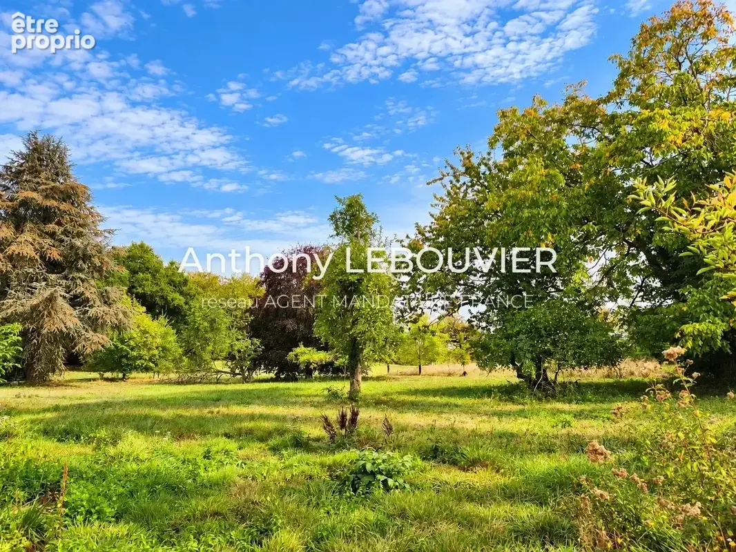 Propriété de caractère sur environ 20 hectares – axe laon / reims - photo 16