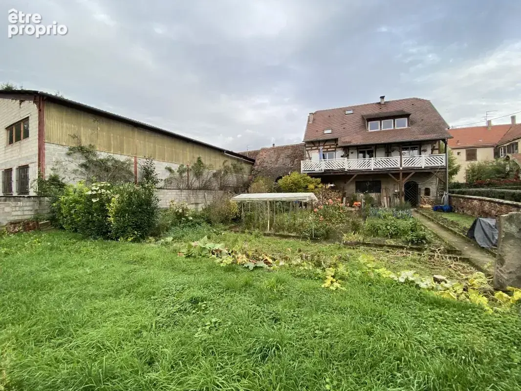 Terrain 1 500 m² à vendre à Breuschwickersheim (67112) - photo 4