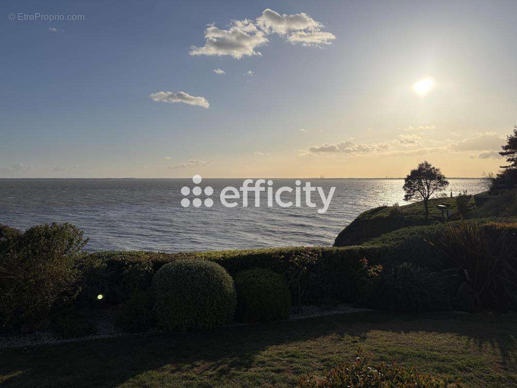 Maison 202 m² à Meschers-Sur-Gironde  - photo 21