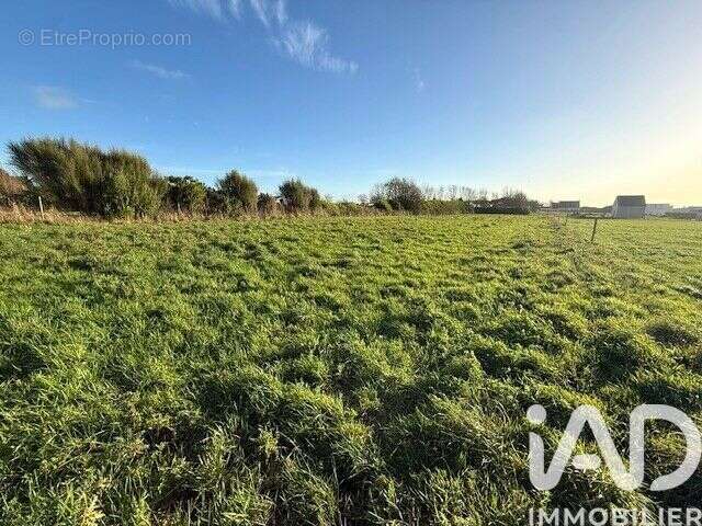 Photo 6 - Terrain à PLOZEVET