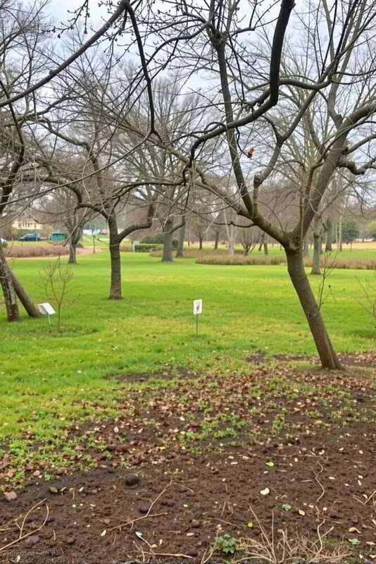 Maison à DONCOURT-AUX-TEMPLIERS
