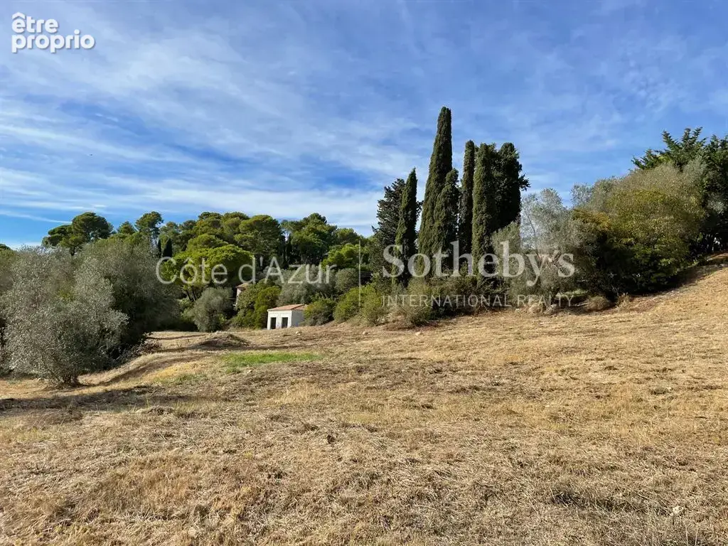 Projet de 3 villas contemporaines sur 35 233 m² - photo 7