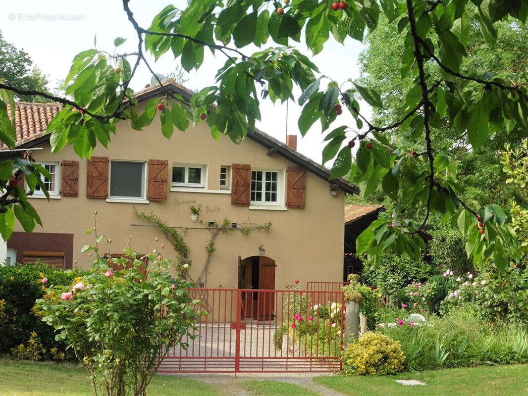 Ancien Moulin sur 5 hectares - photo 2