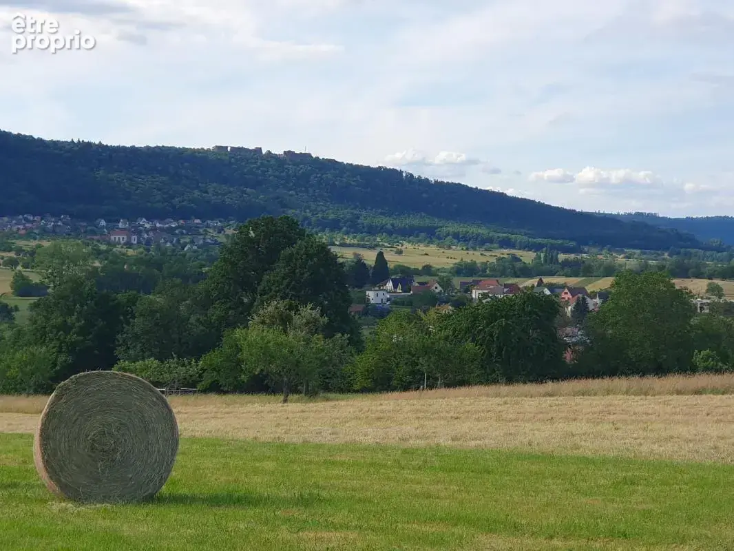 Maison familiale 200 m², 6 pièces, terrain 18 ares, THAL/MARMOUTIER-SAVERNE  (67) - photo 19
