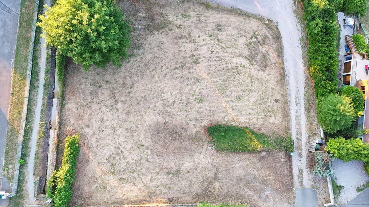 Terrain 1000 m² à Evian-Les-Bains  - photo 5