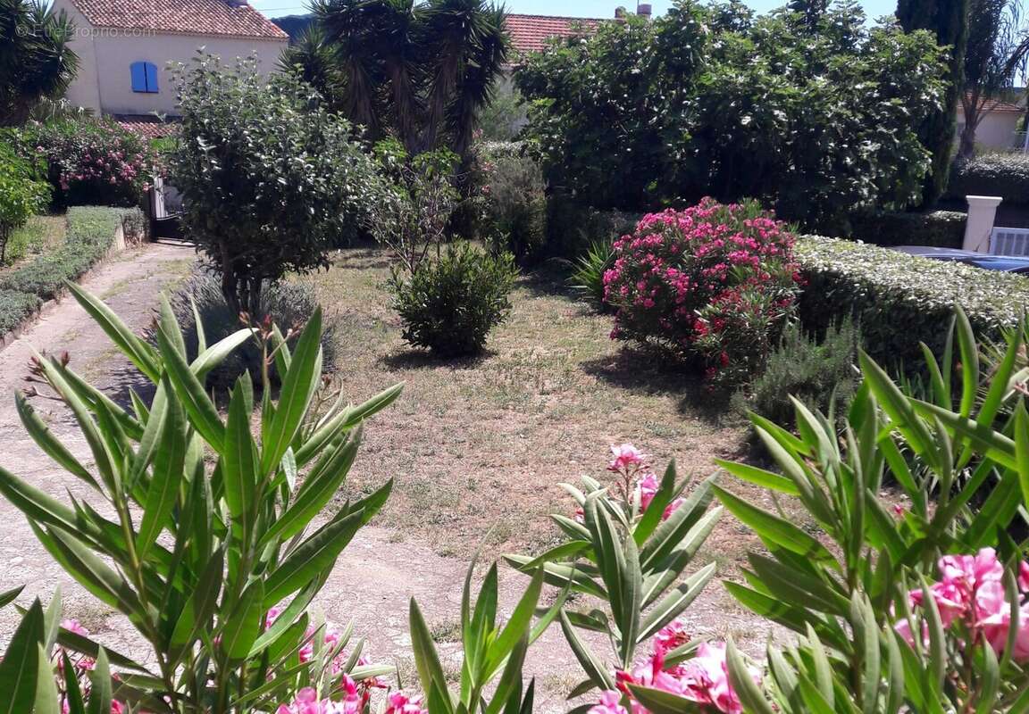 Vue sur jardin - Maison à SIX-FOURS-LES-PLAGES