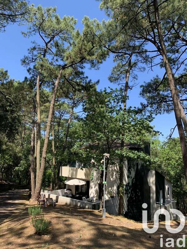 Photo 4 - Appartement à SAINT-GEORGES-DE-DIDONNE