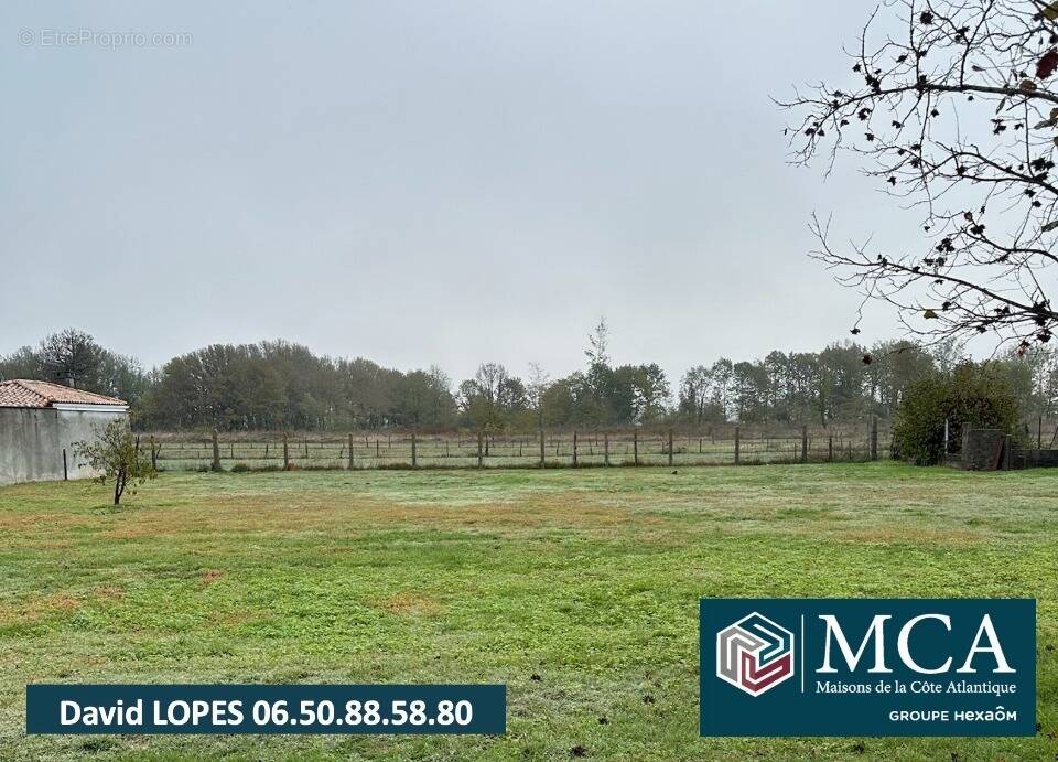 Terrain à LA ROCHE-CHALAIS